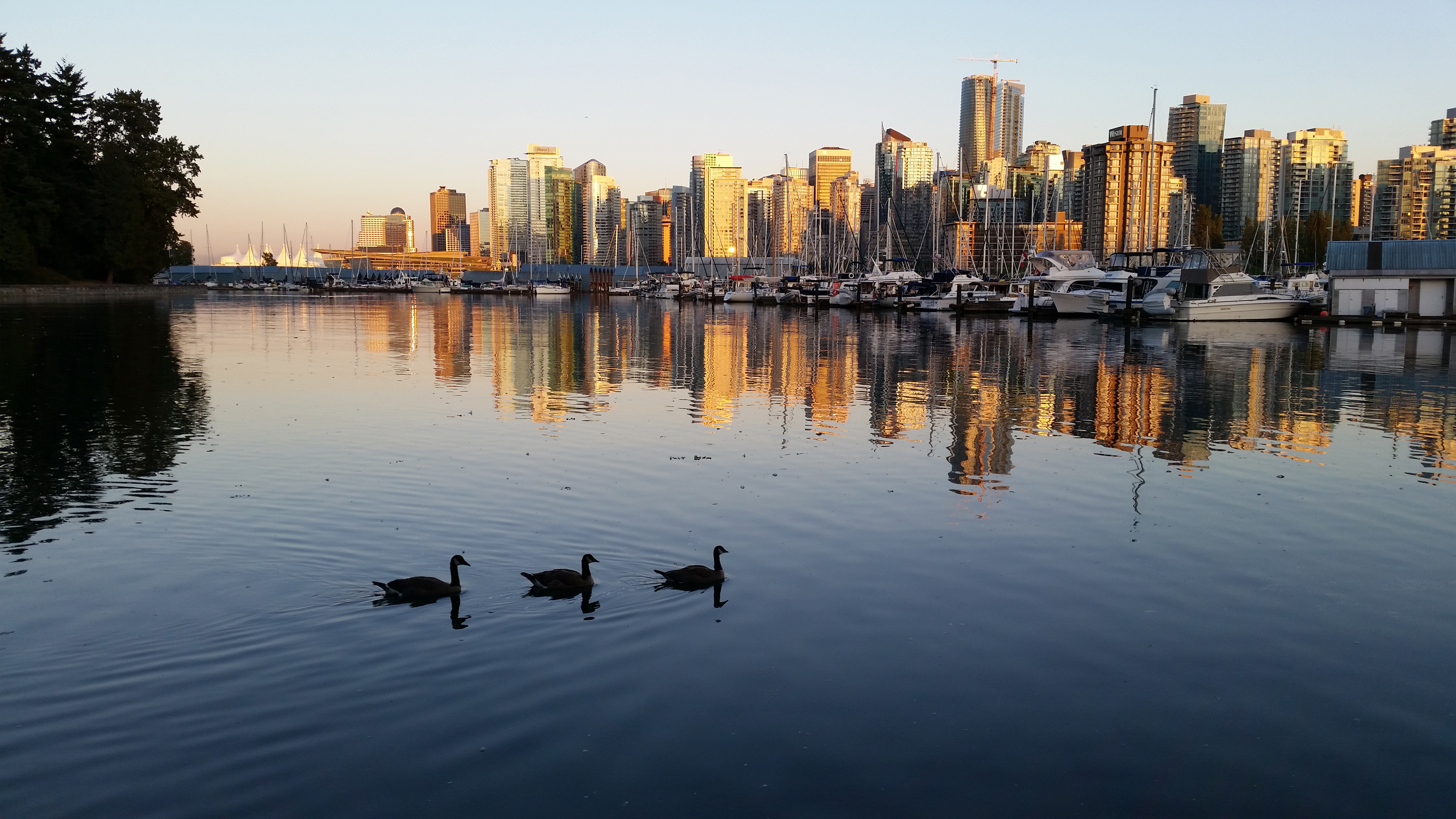 2nd PrizeAssigned Pictorial In Class 2 By Rich Giannola For Reflections Of Vancouver SEP-2024.jpg